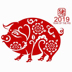 chinese new year 2019 - the year of the pig