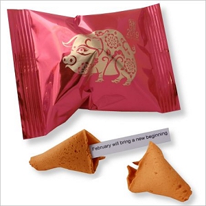 chinese new year fortune cookies